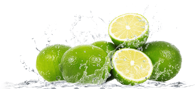 Limonade perfekter Durstlöscher für jede Gelegenheit